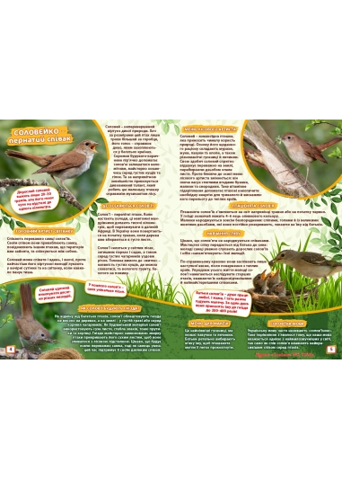 Журнал "Смайлик" №2, 2026 р.