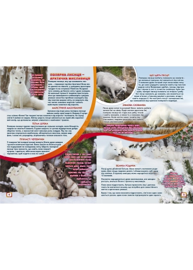 Журнал "Смайлик" №12, 2024 р. ( PDF )