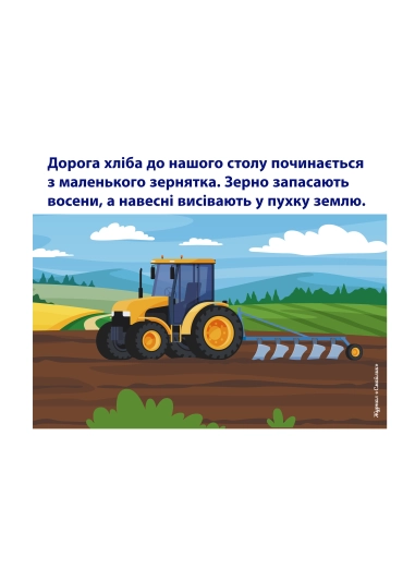 Від зернини до хлібини | Навчальний матеріал для дітей