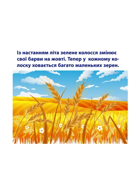 Від зернини до хлібини | Навчальний матеріал для дітей