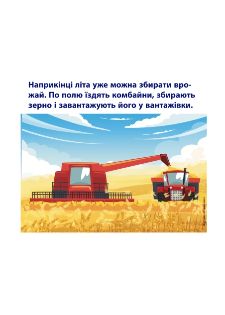 Від зернини до хлібини | Навчальний матеріал для дітей