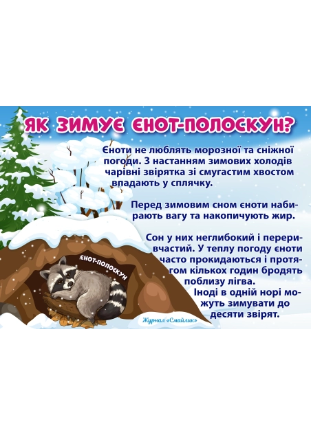 Як зимують звірі ( PDF )