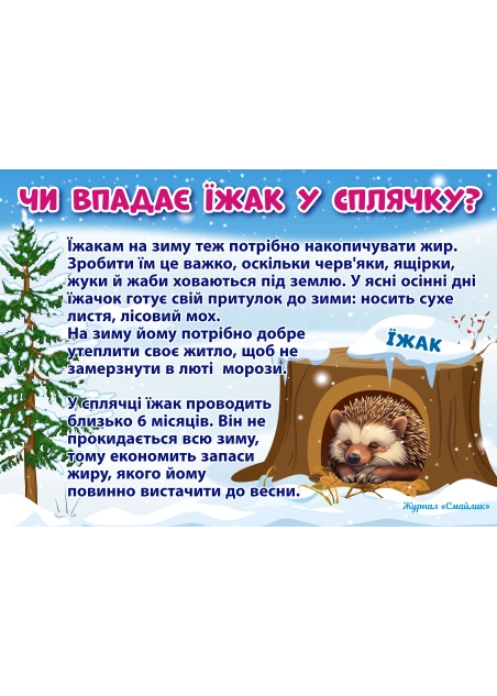 Як зимують звірі ( PDF )