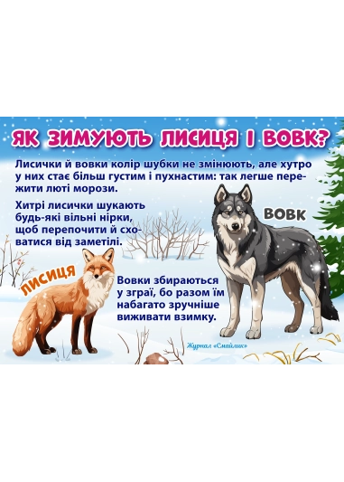 Як зимують звірі ( PDF )