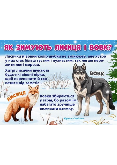 Як зимують звірі ( PDF )