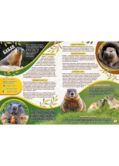 Журнал "Смайлик" №3, 2025 р.