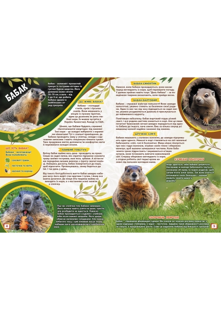 Журнал "Смайлик" №3, 2025 р.