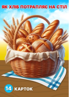 Від зернини до хлібини ( PDF )