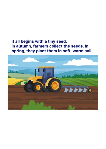 How Bread Is Made ( PDF )