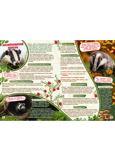 Журнал "Смайлик" №9, 2025 р. ( PDF )