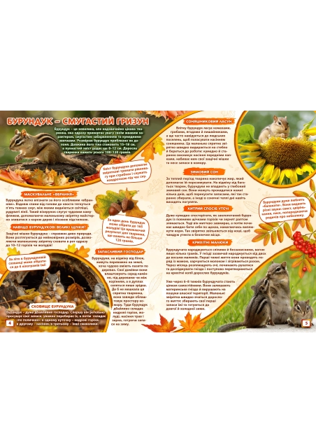 Журнал "Смайлик" №10, 2025 р. ( PDF )