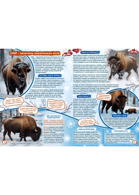 Журнал "Смайлик" №11, 2025 р. ( PDF )