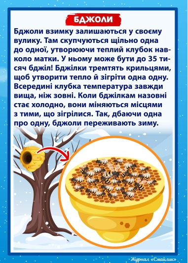 Як зимують комахи ( PDF )