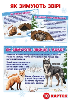 Як зимують звірі ( PDF )